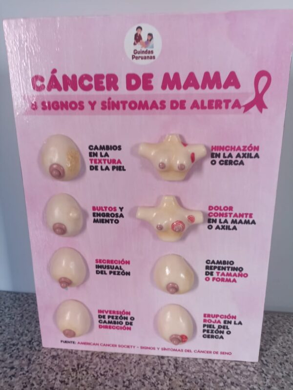 MAQUETA DE CANCER DE MAMA