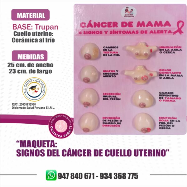 MAQUETA DE CANCER DE MAMA - Imagen 2